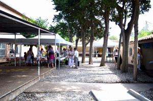 2022 09 10 CAP D AGDE- DOMAINE ST BERNARD AVEC L AFAN (11)